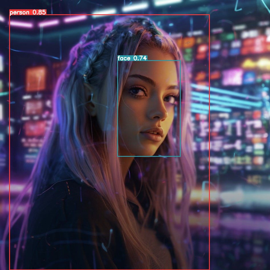 Detection example showing face and person bounding boxes